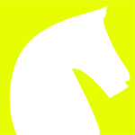 Strateji Works logo